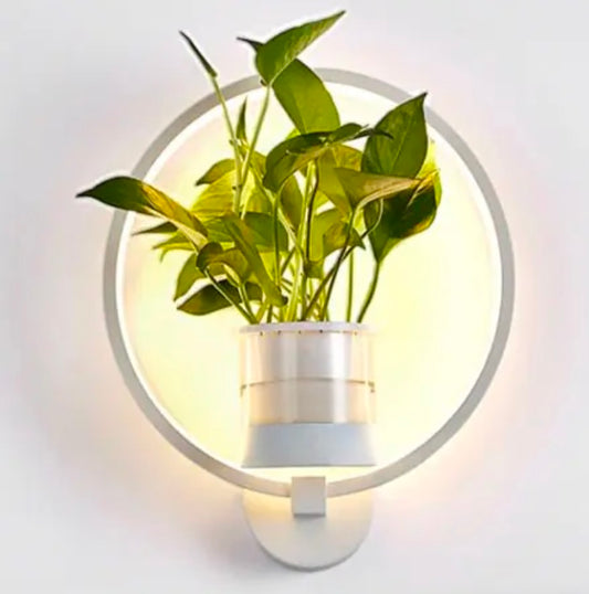 Modern Wall Plant LED Lamp Plant Holder